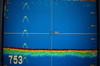 Quái vật hồ Loch Ness tiếp tục xuất hiện một cách bí ẩn